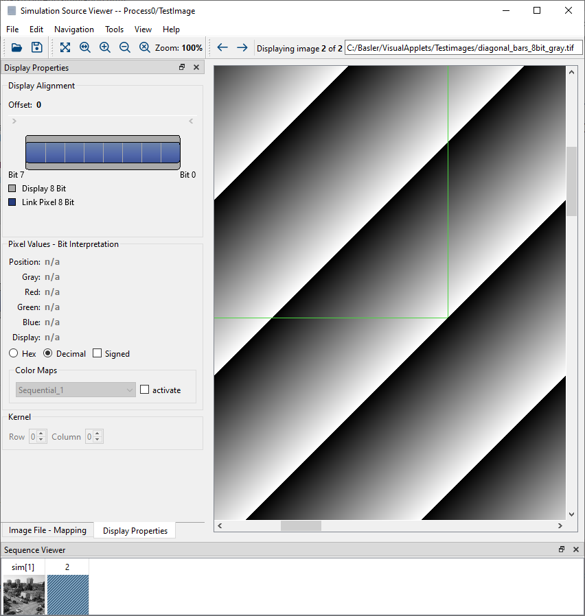 Highlighted Image Section Used for Simulation